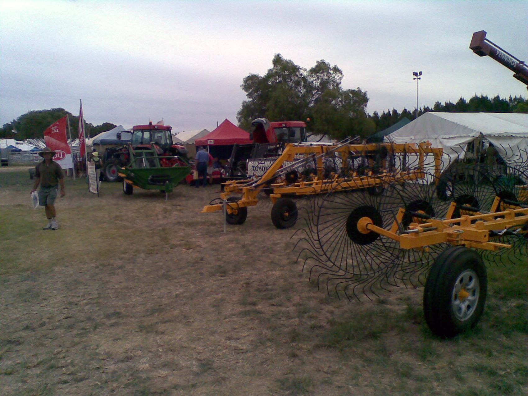 field-day1